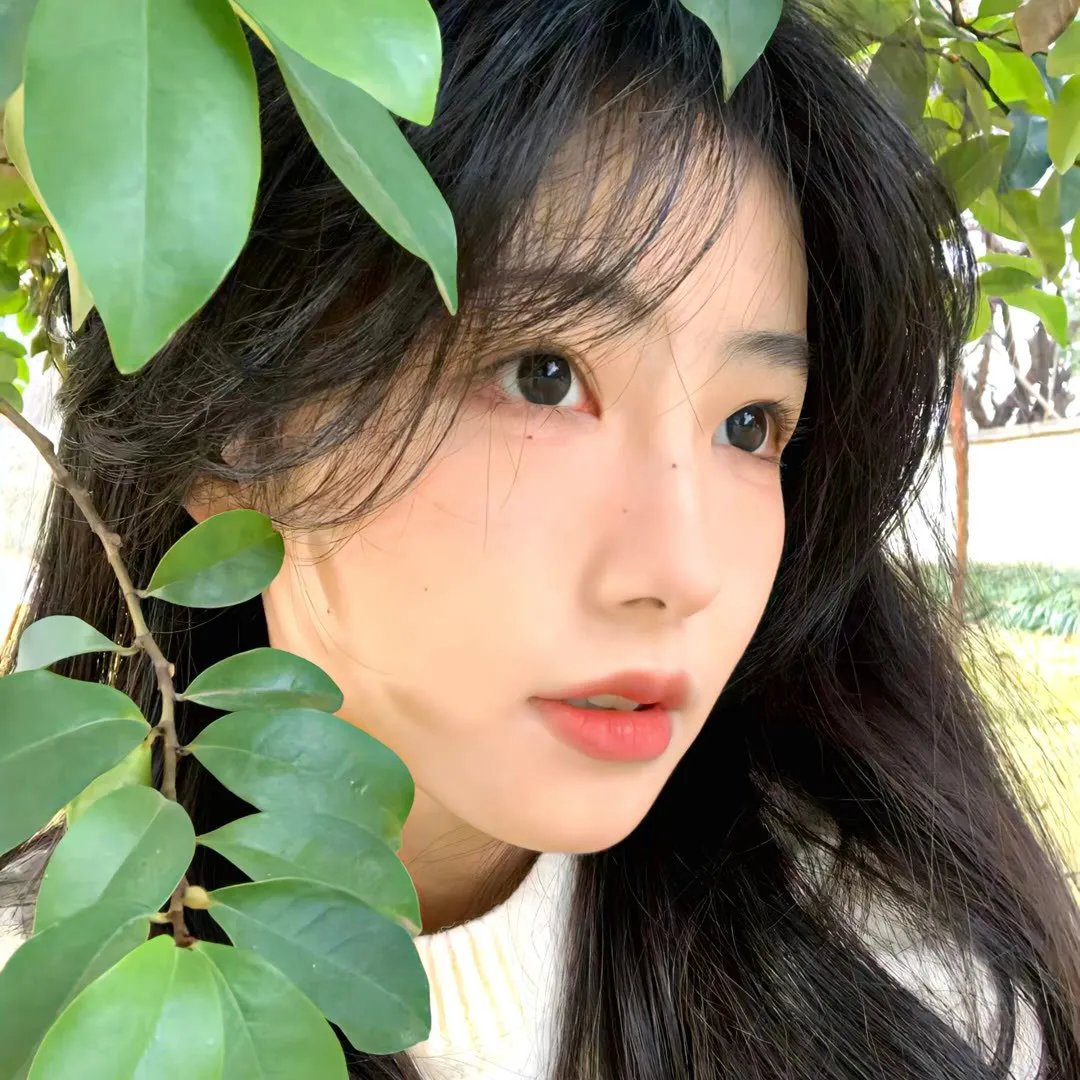 偷懒的猫